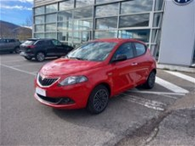 Lancia Ypsilon 1.2 69 CV 5 porte GPL Gold del 2023 usata a Tito