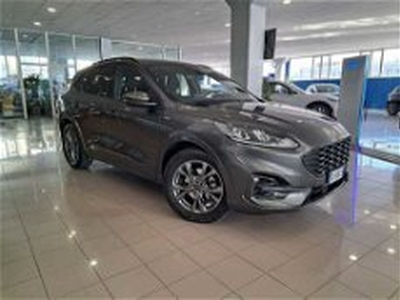 Ford Kuga 1.5 EcoBlue 120 CV 2WD ST-Line del 2022 usata a Arezzo