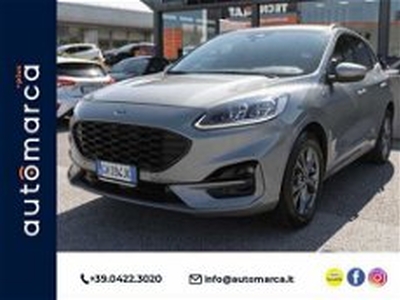 Ford Kuga 2.5 Full Hybrid 190 CV CVT 2WD ST-Line X del 2022 usata a Silea