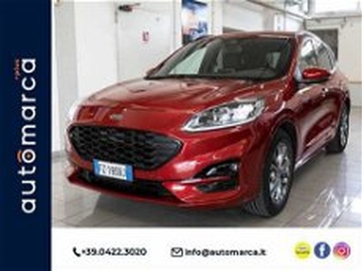 Ford Kuga 2.5 Plug In Hybrid 225 CV CVT 2WD ST-Line del 2020 usata a Silea