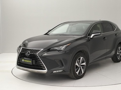 Lexus NX Hybrid 4WD