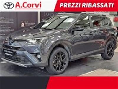 Toyota Rav4 Hybrid 2WD Active del 2018 usata a Genzano di Roma