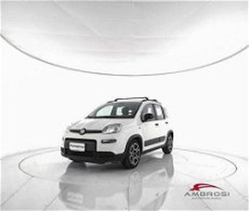 Fiat Panda 1.0 FireFly S&S Hybrid City Life del 2021 usata a Viterbo