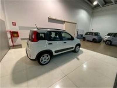 Fiat Panda 1.0 FireFly S&S Hybrid City Life my 20 del 2022 usata a Sciacca