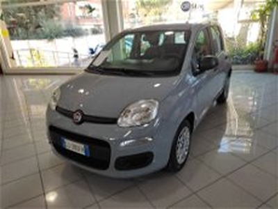 Fiat Panda 1.0 FireFly S&S Hybrid City Cross del 2022 usata a Prato