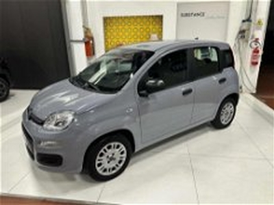 Fiat Panda 1.2 Easy Van 4 posti del 2020 usata a Rho