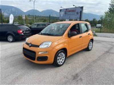 Fiat Panda 1.2 Pop del 2017 usata a Orvieto