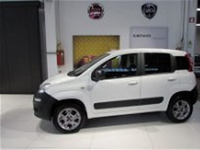 Fiat Panda 1.3 MJT 4x4 Pop Van 2 posti del 2016 usata a Rho