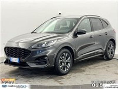 Ford Kuga 1.5 EcoBlue 120 CV 2WD ST-Line X del 2020 usata a Albano Laziale