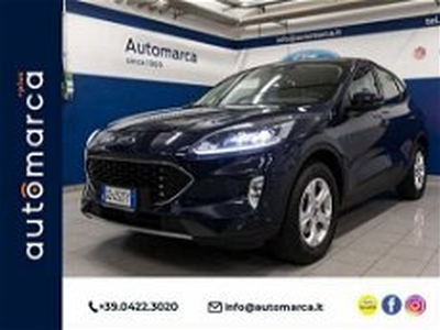 Ford Kuga 1.5 EcoBoost 120 CV 2WD del 2021 usata a Silea