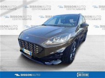 Ford Kuga 2.0 EcoBlue 190 CV aut. AWD ST-Line X del 2020 usata a Grumolo delle Abbadesse