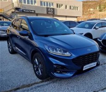 Ford Kuga 2.5 Plug In Hybrid 225 CV CVT 2WD ST-Line del 2020 usata a Trento