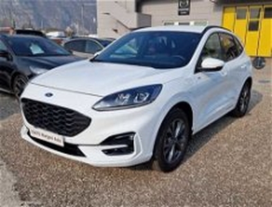 Ford Kuga 2.5 Plug In Hybrid 225 CV CVT 2WD ST-Line del 2022 usata a Trento