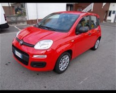 Fiat Panda 1.0 FireFly S&S Hybrid City Cross del 2022 usata a Pont Saint Martin