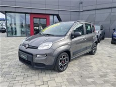 Fiat Panda 1.0 FireFly S&S Hybrid City Cross del 2022 usata a Pianezza