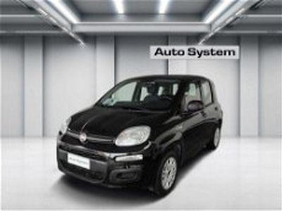 Fiat Panda 1.2 Active EasyPower del 2019 usata a Palermo