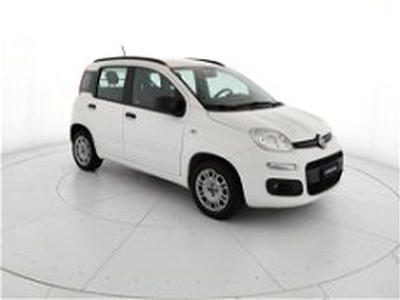Fiat Panda 1.2 Easy Van 4 posti del 2021 usata a Teverola