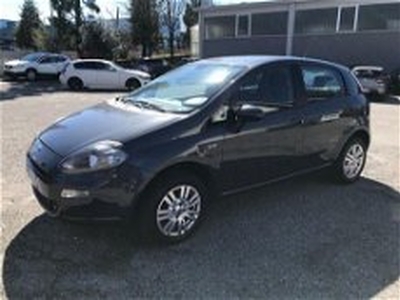 Fiat Punto 1.4 8V 5 porte Natural Power Lounge del 2013 usata a Casalgrande