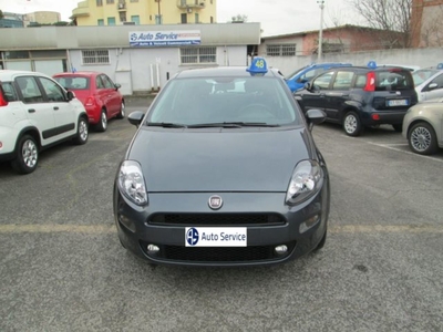 Fiat Punto 1.4 8V 5 porte Natural Power Lounge usato