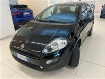 Fiat Punto 1.4 8V 5 porte Natural Power Street del 2017 usata a Modena