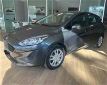 Ford Fiesta 1.1 75 CV GPL 5 porte Business del 2020 usata a San Benedetto del Tronto