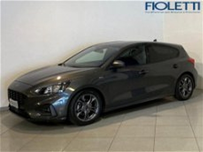 Ford Focus 1.5 EcoBlue 120 CV 5p. Business del 2020 usata a Desenzano del Garda