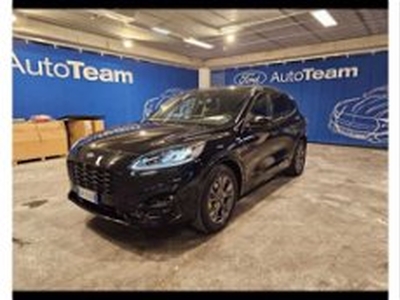 Ford Kuga 1.5 EcoBlue 120 CV 2WD ST-Line X del 2020 usata a Bari