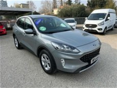 Ford Kuga 1.5 EcoBoost 120 CV 2WD del 2021 usata a Fano