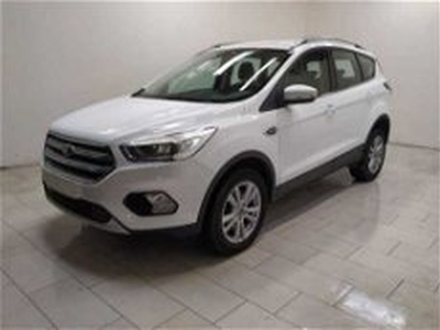 Ford Kuga 2.0 TDCI 120 CV S&S 2WD Business N1 del 2019 usata a Cuneo