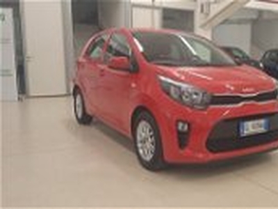 Kia Picanto 1.0 12V GPL 5 porte Urban del 2023 usata a Torino