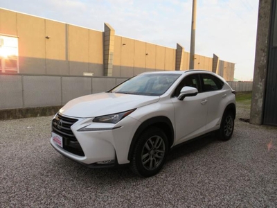 Lexus NX Hybrid 4WD Executive usato