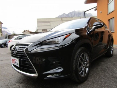 Lexus NX Hybrid 4WD Premium usato