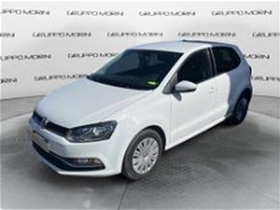 Volkswagen Polo 1.4 TDI 5p. Trendline BlueMotion Technology del 2015 usata a Forli'