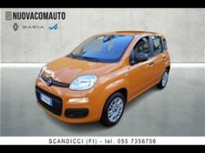 Fiat Panda 1.2 Easy del 2019 usata a Sesto Fiorentino