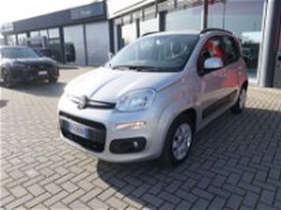 Fiat Panda 1.2 Pop my 16 del 2018 usata a Perugia