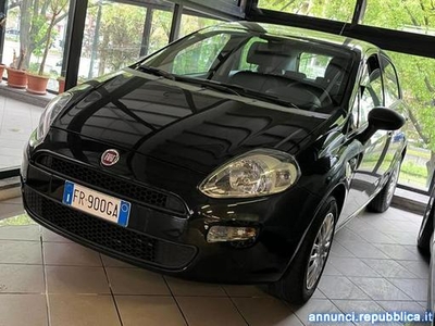 Fiat Punto 1.2 8V 5 porte Street prezzo vero in contanti Torino