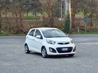 Kia Picanto 1.0 12V EcoGPL 5 porte City usato