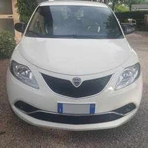 Lancia Ypsilon 1.2 69 CV 5 porte Elefantino del 2015 usata a Zugliano