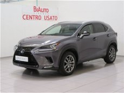 Lexus NX Hybrid 4WD Executive del 2019 usata a Sesto Fiorentino