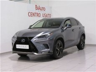 Lexus NX Hybrid 4WD Premium del 2022 usata a Sesto Fiorentino