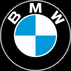BMW Cerco auto usata