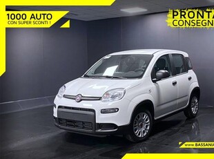 FIAT Panda 1.0 FireFly S&S Hybrid Elettrica/Benzina