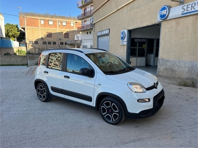 Fiat Panda 1.0 FireFly S&S Hybrid usato