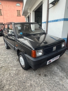 Fiat Panda 1100 i.e. cat Young usato
