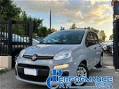 Fiat Panda 1.2 Active EasyPower del 2019 usata a Roma