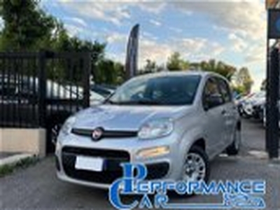 Fiat Panda 1.2 Active EasyPower del 2019 usata a Roma