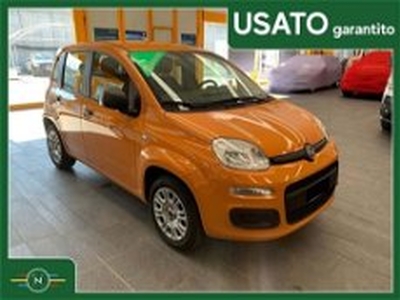 Fiat Panda 1.2 Easy del 2017 usata a Vaiano Cremasco