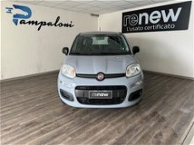 Fiat Panda 1.2 Easy del 2020 usata a Siena