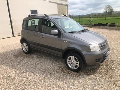 Fiat Panda 4x4 neopatentati