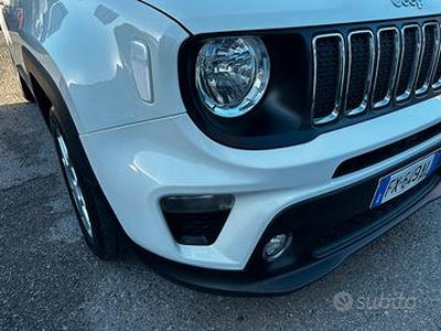 Jeep Renegade Business
